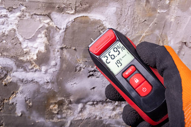 Best Mold Testing  in Southport, CT