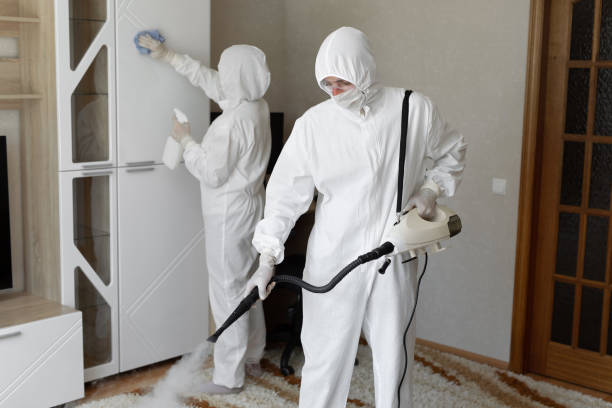 Mold Removal Process in Southport, CT