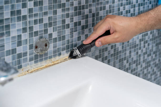 Best Black Mold Removal  in Southport, CT